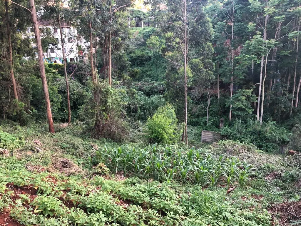 1.7 Acres Land For Sale In Peponi For Sale